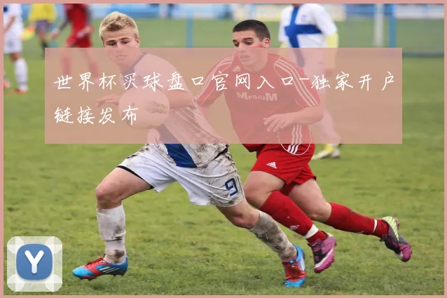 世界杯买球盘口官网入口-独家开户链接发布