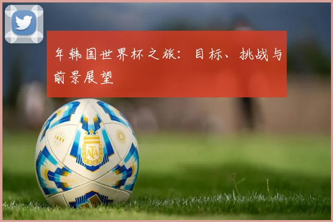 年韩国世界杯之旅：目标、挑战与前景展望